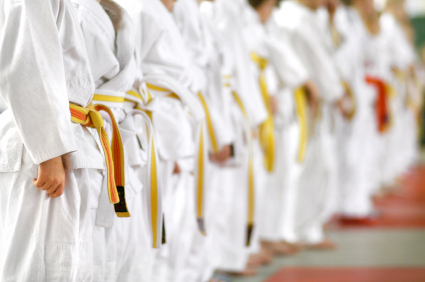 Martial Arts Insurance in Great Falls, Cascade County, MT